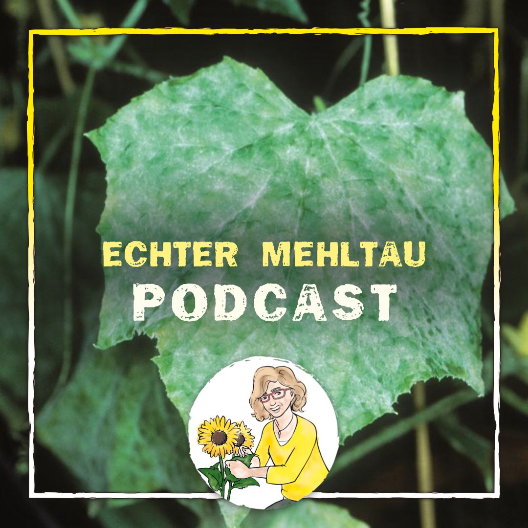 echter Mehltau echter Mehltau