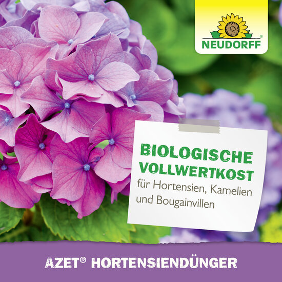 Azet HortensienDünger Sprechende Bilder Bild 6 Azet HortensienDünger Sprechende Bilder Bild 6
