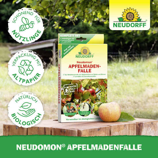 Neudomon ApfelmadenFalle Sprechende Bilder Bild 5