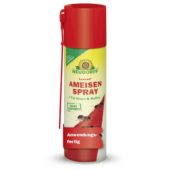 Loxiran Ameisenspray Sprechende Bilder Bild 1 Loxiran Ameisenspray Sprechende Bilder Bild 1