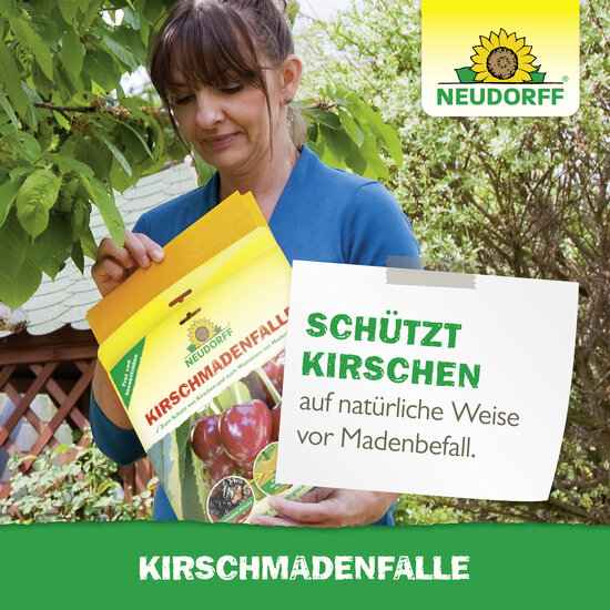 KirschmadenFalle Sprechende Bilder Bild 6 KirschmadenFalle Sprechende Bilder Bild 6