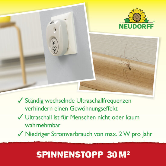 SpinnenStopp 30m2 Sprechende Bilder Bild 4 SpinnenStopp 30m2 Sprechende Bilder Bild 4
