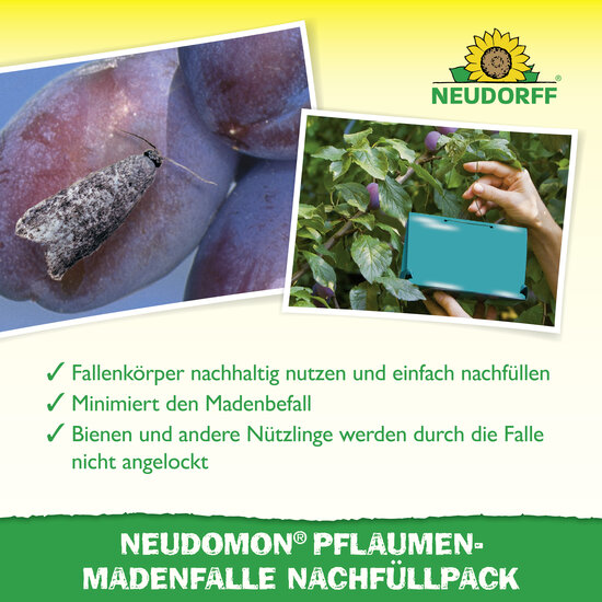 Neudomon PflaumenmadenFalle Nachfüllpack Sprechende Bilder Bild 4