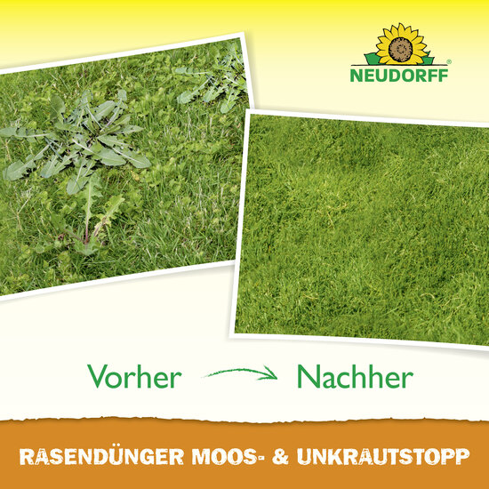 RasenDünger Moos- & UnkrautStopp Sprechende Bilder Bild 6