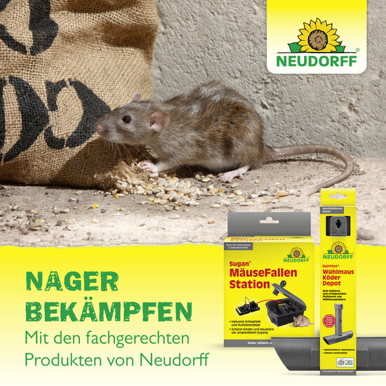 Sugan RattenKöder Depot Sprechende Bilder Bild 7 Sugan RattenKöder Depot Sprechende Bilder Bild 7