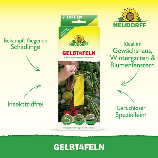 Gelbtafeln (kleinformatig) Sprechende Bilder Bild 2