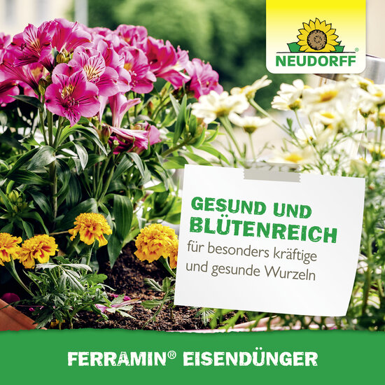 Ferramin Eisendünger Sprechende Bilder Bild 6