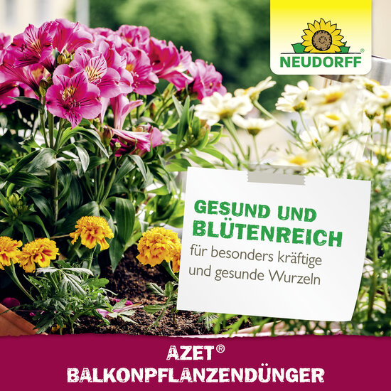 Azet BalkonpflanzenDünger flüssig Sprechende Bilder Bild 7 Azet BalkonpflanzenDünger flüssig Sprechende Bilder Bild 7