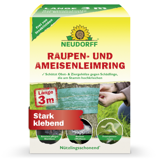 Raupen- und AmeisenLeimring Sprechende Bilder Bild 1 Raupen- und AmeisenLeimring Sprechende Bilder Bild 1