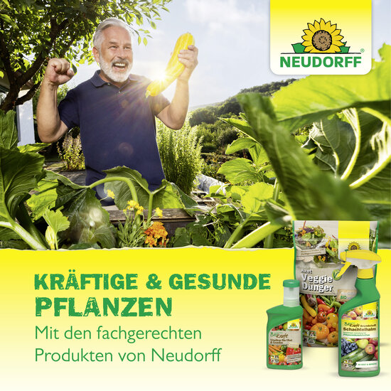 Neudofix WurzelAktivator Sprechende Bilder Bild 7 Neudofix WurzelAktivator Sprechende Bilder Bild 7