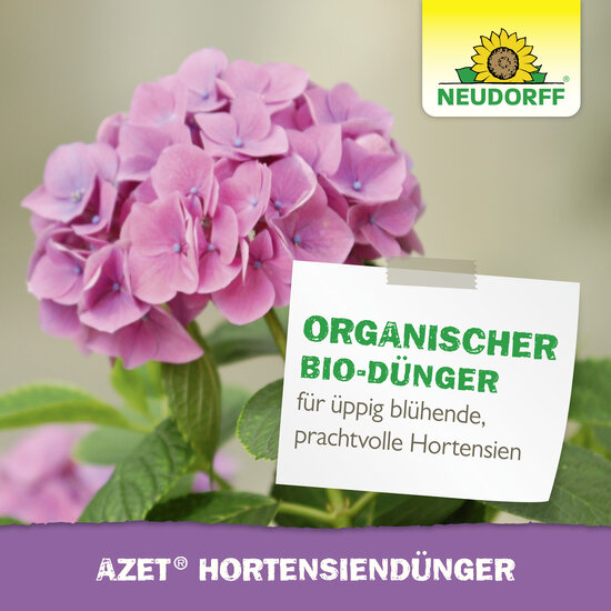 Azet HortensienDünger flüssig Sprechende Bilder Bild 7