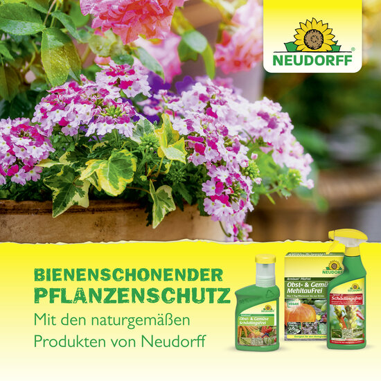 Raupenfrei XenTari Sprechende Bilder Raupenfrei XenTari Sprechende Bilder