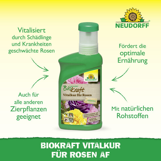Neudorff BioKraft Vitalkur für Rosen Sprechende Bilder Bild 2 Neudorff BioKraft Vitalkur für Rosen Sprechende Bilder Bild 2