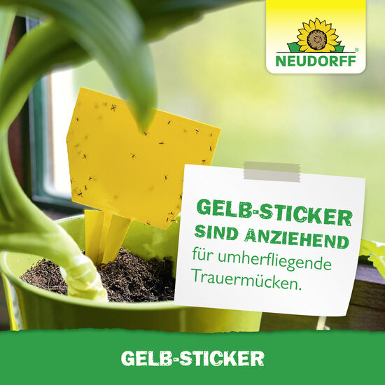 Gelb-Sticker Sprechende Bilder Bild 7 Gelb-Sticker Sprechende Bilder Bild 7