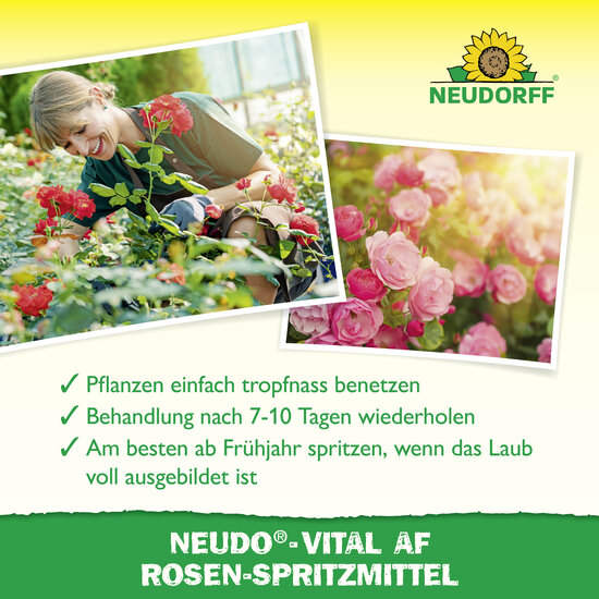 Neudo-Vital AF Rosen-Spritzmittel Sprechende Bilder Bild 4