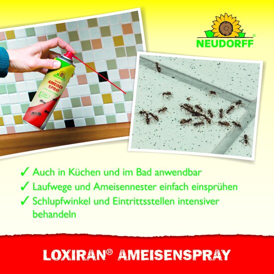 Loxiran Ameisenspray Sprechende Bilder Bild 4 Loxiran Ameisenspray Sprechende Bilder Bild 4