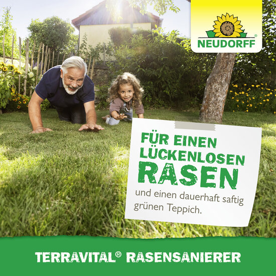 TerraVital RasenSanierer Sprechende Bilder Bild 7
