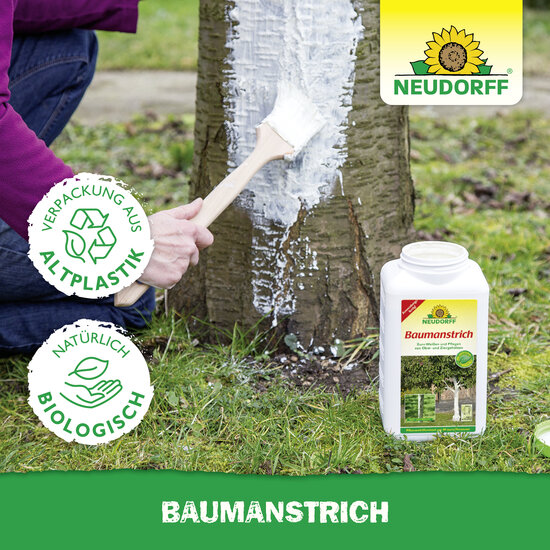 Baumanstrich Sprechende Bilder Bild 6