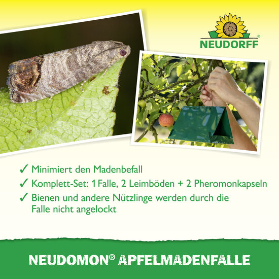 Neudomon ApfelmadenFalle Sprechende Bilder Bild 4