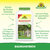 Baumanstrich Sprechende Bilder Bild 2