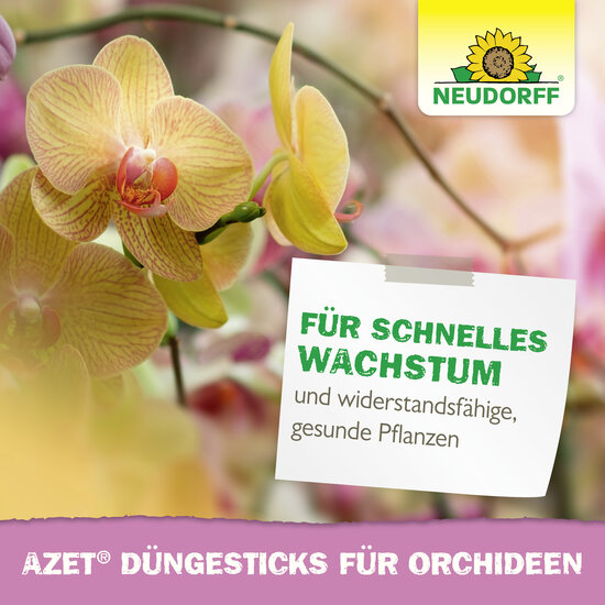 Azet Düngesticks für Orchideen Sprechende Bilder Bild 6 Azet Düngesticks für Orchideen Sprechende Bilder Bild 6
