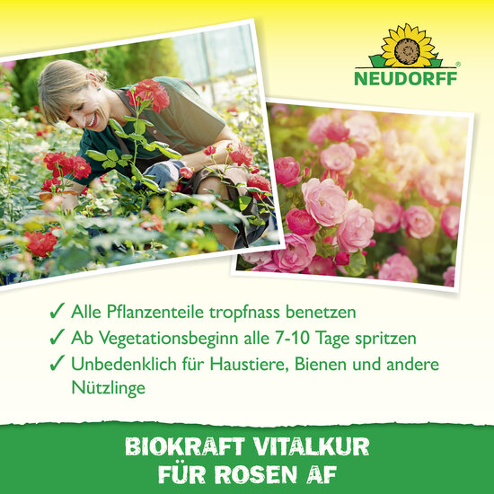 Neudorff BioKraft Vitalkur für Rosen Sprechende Bilder Bild 4 Neudorff BioKraft Vitalkur für Rosen Sprechende Bilder Bild 4