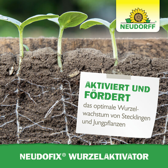 Neudofix WurzelAktivator Sprechende Bilder Bild 6 Neudofix WurzelAktivator Sprechende Bilder Bild 6