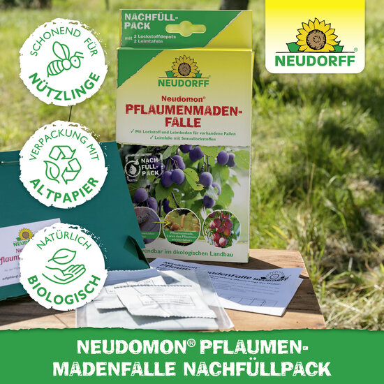 Neudomon PflaumenmadenFalle Nachfüllpack Sprechende Bilder Bild 5