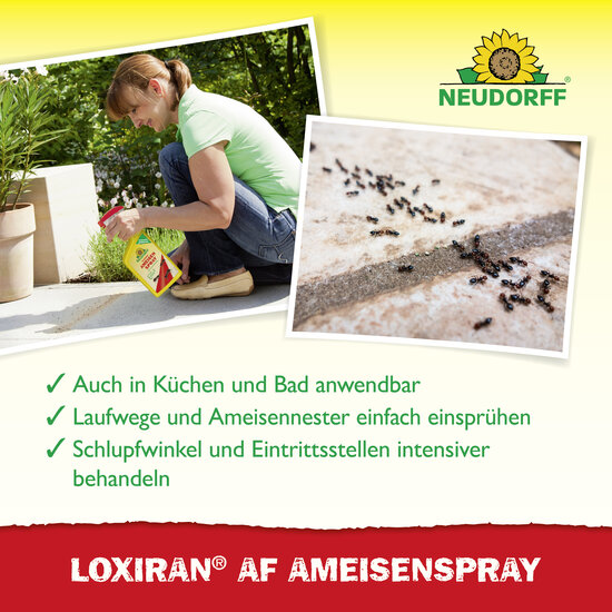 Loxiran AF AmeisenSpray Sprechende Bilder Bild 4 Loxiran AF AmeisenSpray Sprechende Bilder Bild 4