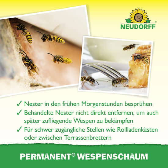 Permanent WespenSchaum Sprechende Bilder Bild 4