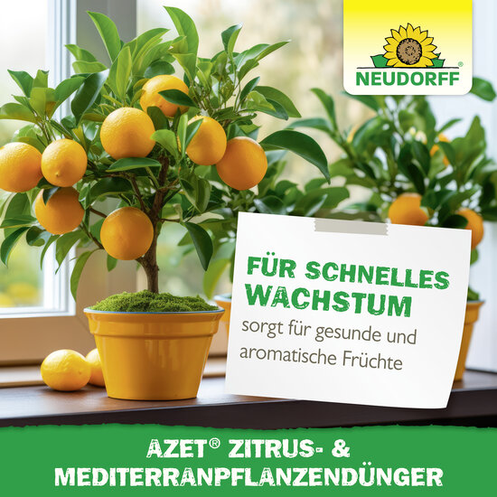 Azet Zitrus- & MediterranpflanzenDünger Sprechende Bilder Bild 6