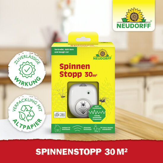 SpinnenStopp 30m2 Sprechende Bilder Bild 5 SpinnenStopp 30m2 Sprechende Bilder Bild 5