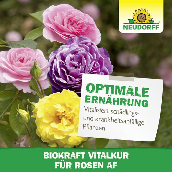 Neudorff BioKraft Vitalkur für Rosen Sprechende Bilder Bild 6 Neudorff BioKraft Vitalkur für Rosen Sprechende Bilder Bild 6