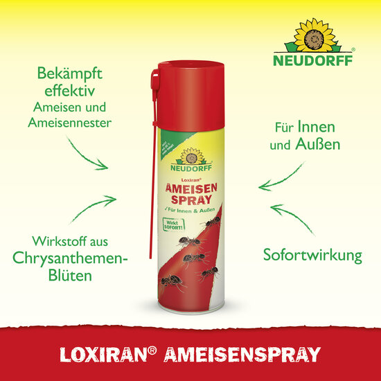 Loxiran Ameisenspray Sprechende Bilder Bild 2 Loxiran Ameisenspray Sprechende Bilder Bild 2