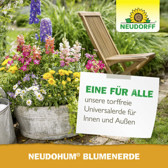 NeudoHum BlumenErde Sprechende Bilder Bild 7 NeudoHum BlumenErde Sprechende Bilder Bild 7