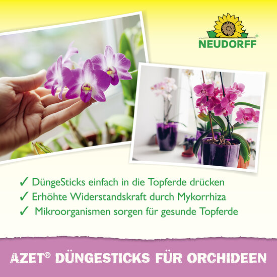 Azet Düngesticks für Orchideen Sprechende Bilder Bild 4 Azet Düngesticks für Orchideen Sprechende Bilder Bild 4