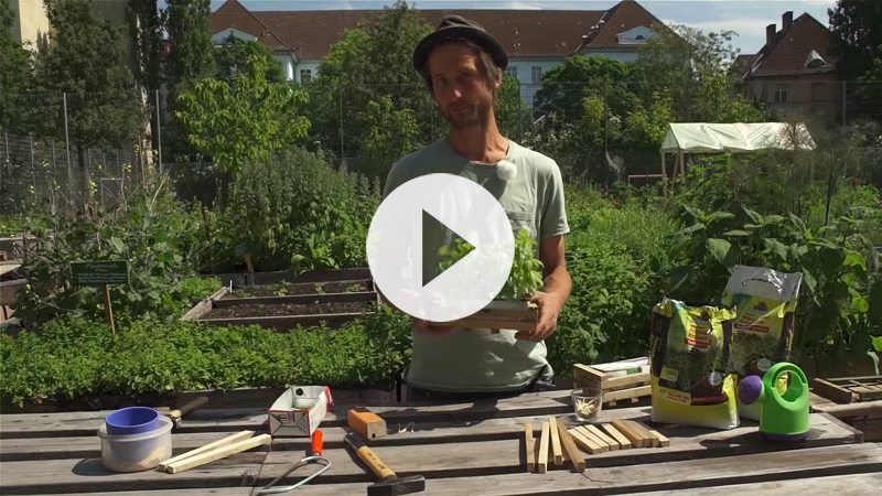 Urban gardening