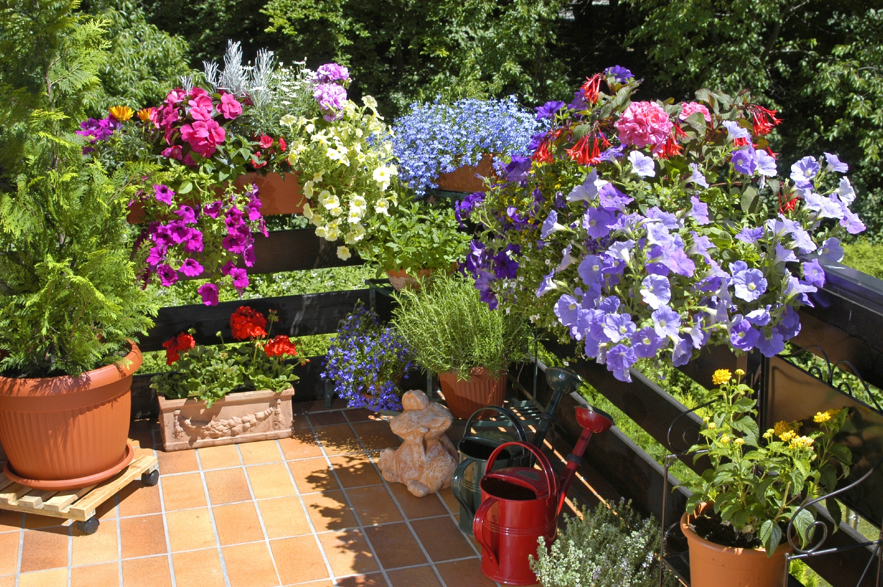 Blütenmeer auf dem Balkon Balkonpflanzen können in Balkonkästen oder Blumenkübeln angepflanzt werden