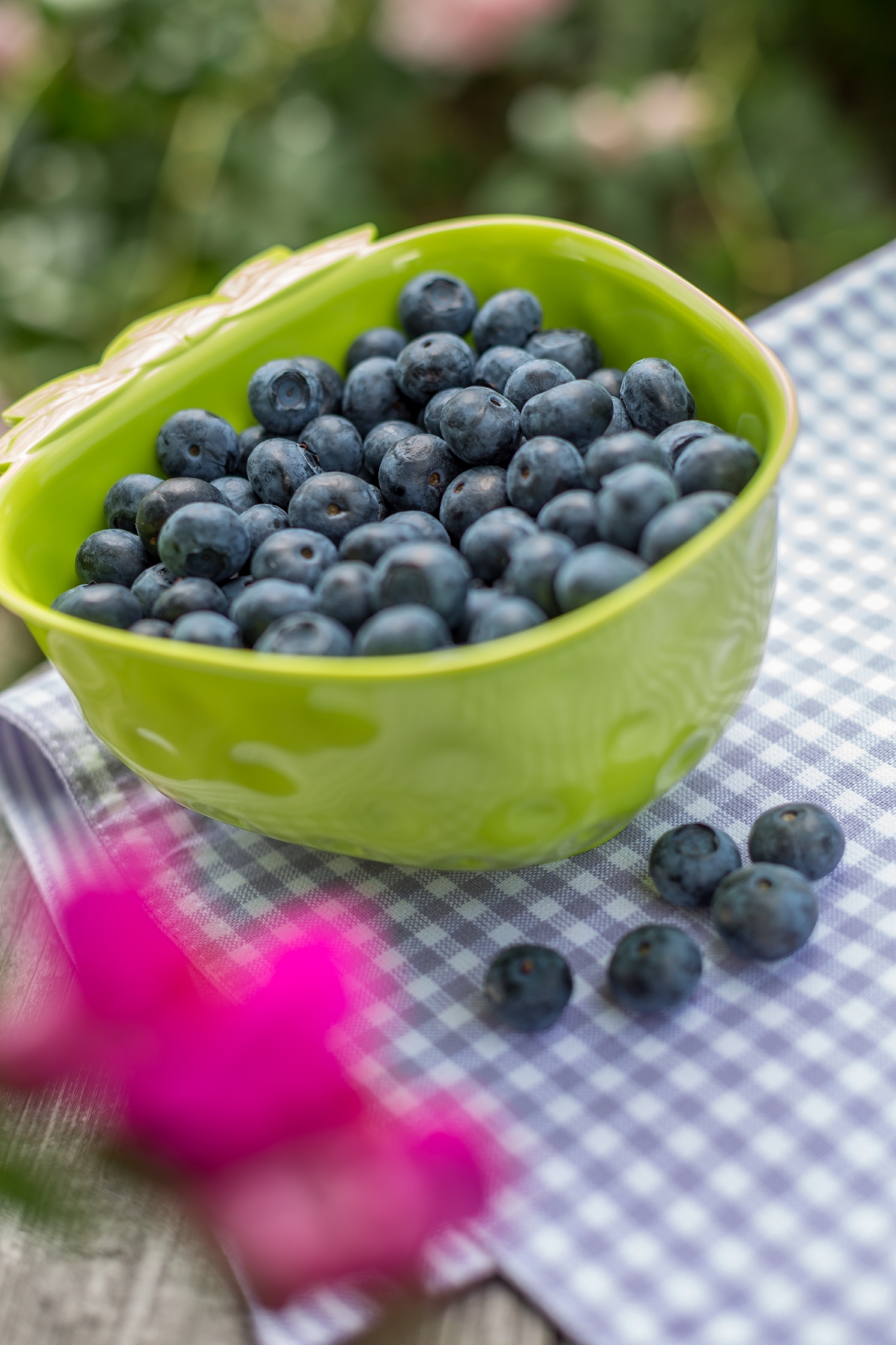 Heidelbeeren mögen Halbschatten und ein eher saures Bodenmilieu Heidelbeeren in einer grünen Schale