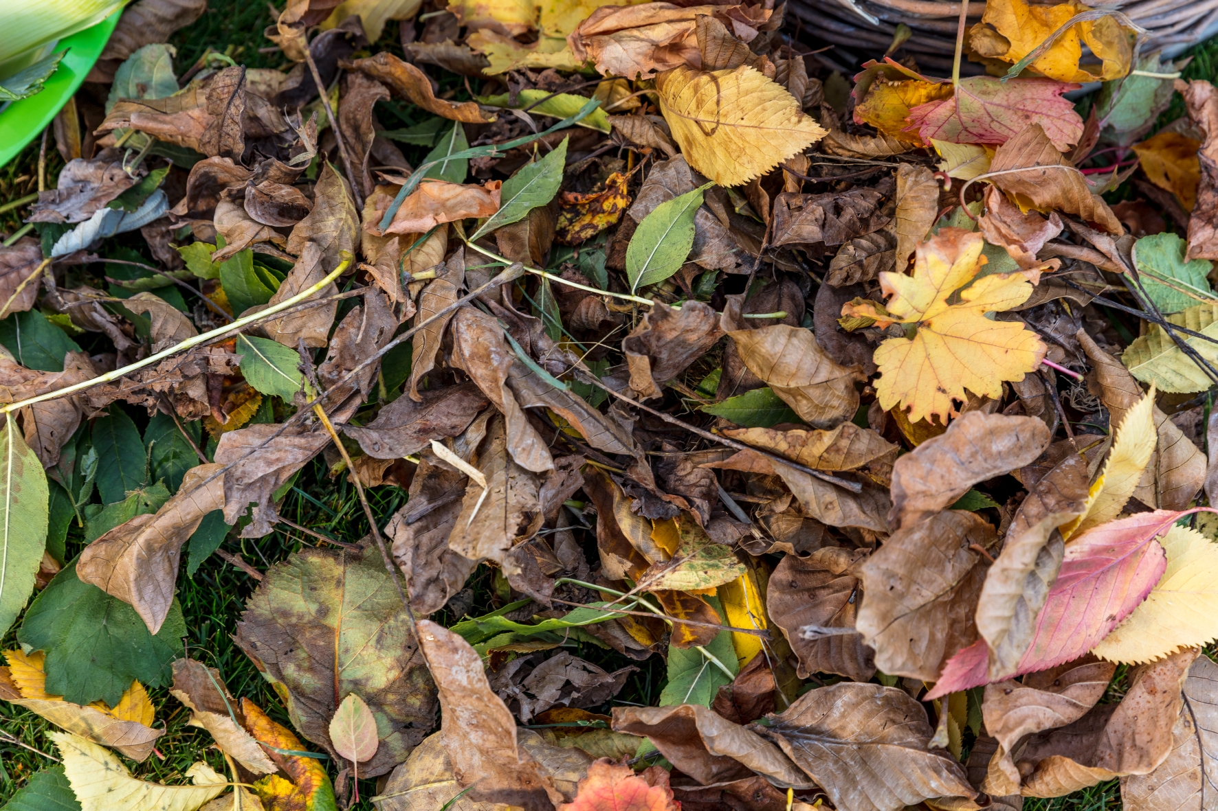 Herbstlaub zum Befüllen des Hochbeets Herbstlaub lässt sich ebenfalls als Füllmaterial für ein Hochbeet verwenden