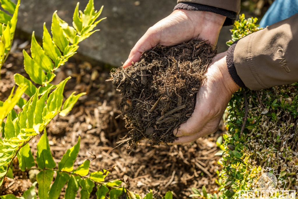 Mulchkompost können Sie einfach mit der Hand ausbringen Mulchkompost wird einfach mit der Hand ausgebracht