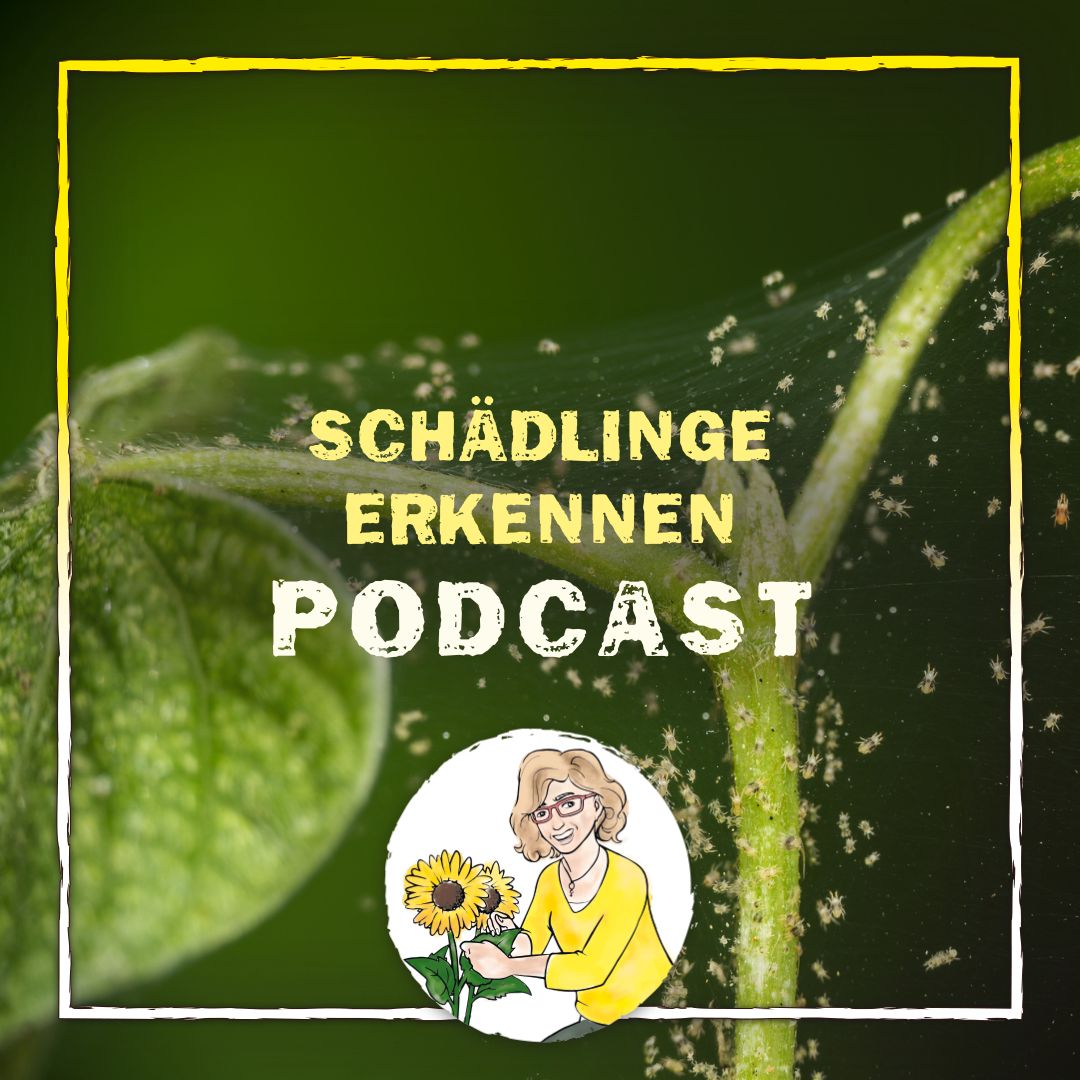Schädling erkennen Schädling erkennen