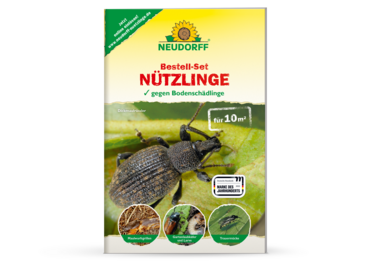 Bestell-Set Nützlinge gegen Bodenschädlinge Bestell-Set Nützlinge gegen Bodenschädlinge