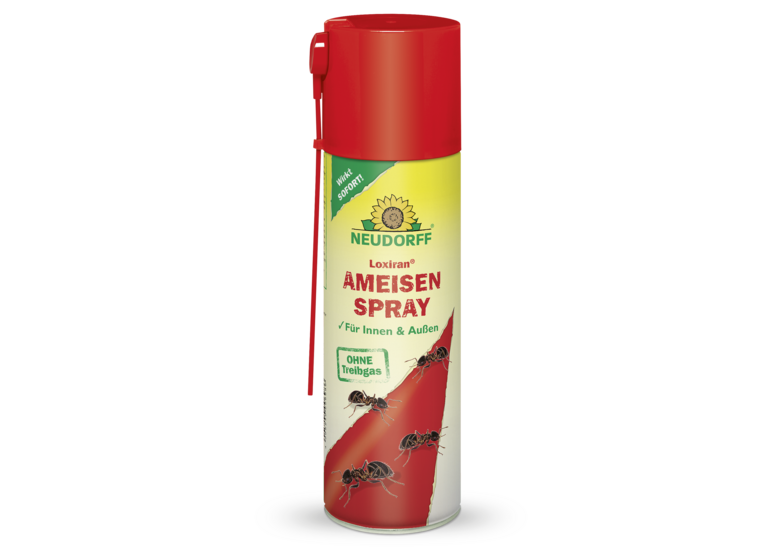 Loxiran AmeisenSpray