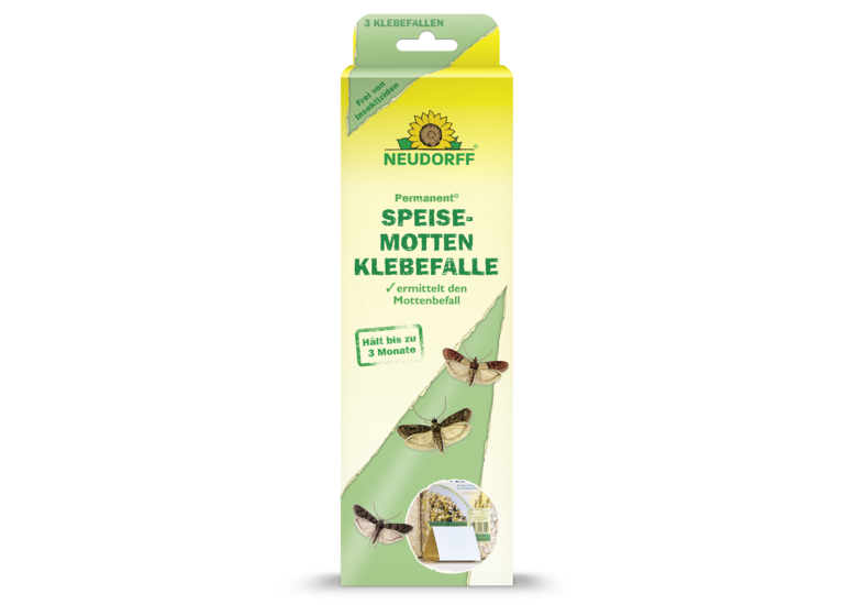 Permanent SpeisemottenKlebefalle