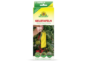 Gelbtafeln (kleinformatig)